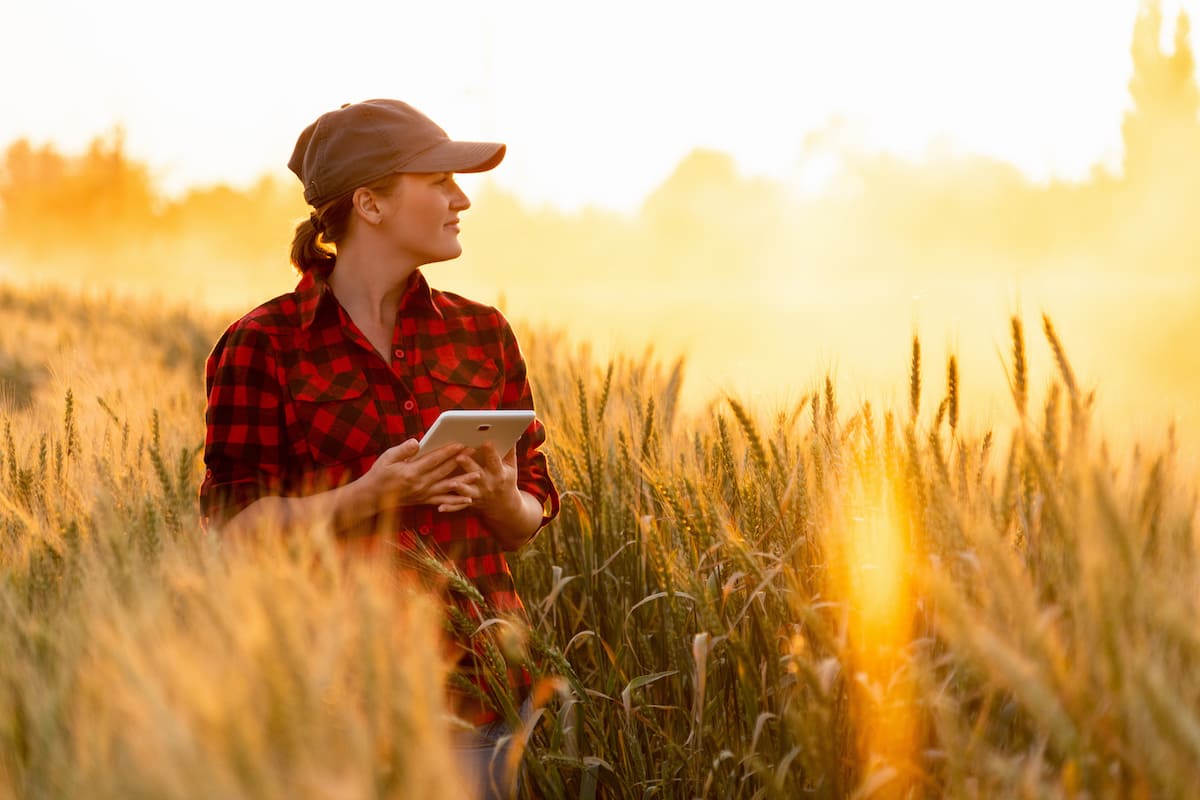 Il Ritorno dei Giovani All’Agricoltura